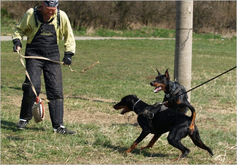 Training in Prague - 2. 4. 2008